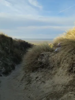 Oostnieuwkerke duinen wandeling in de koude (België)